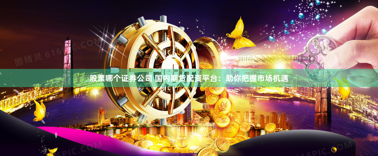 股票哪个证券公司 国内期货配资平台：助你把握市场机遇