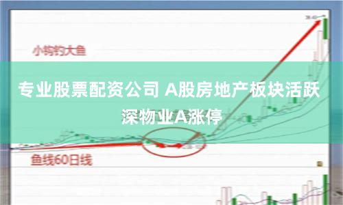 专业股票配资公司 A股房地产板块活跃 深物业A涨停