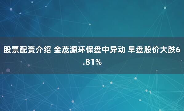 股票配资介绍 金茂源环保盘中异动 早盘股价大跌6.81%