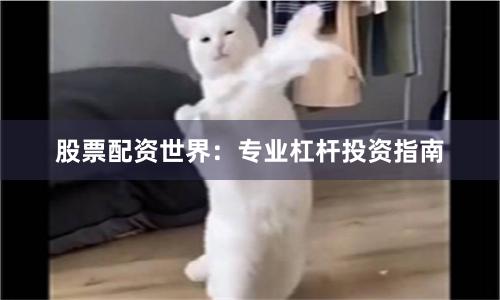 股票配资世界：专业杠杆投资指南