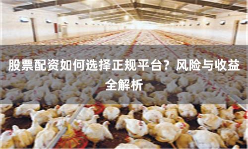 股票配资如何选择正规平台？风险与收益全解析